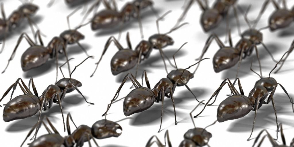 Why a Cloudflare Serverless Worker should be a martech devs best friend and what has ants got to do with it? you might ask